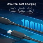 PowerLine III USB-C to USB-C 100W 2Cable 6ft B2B